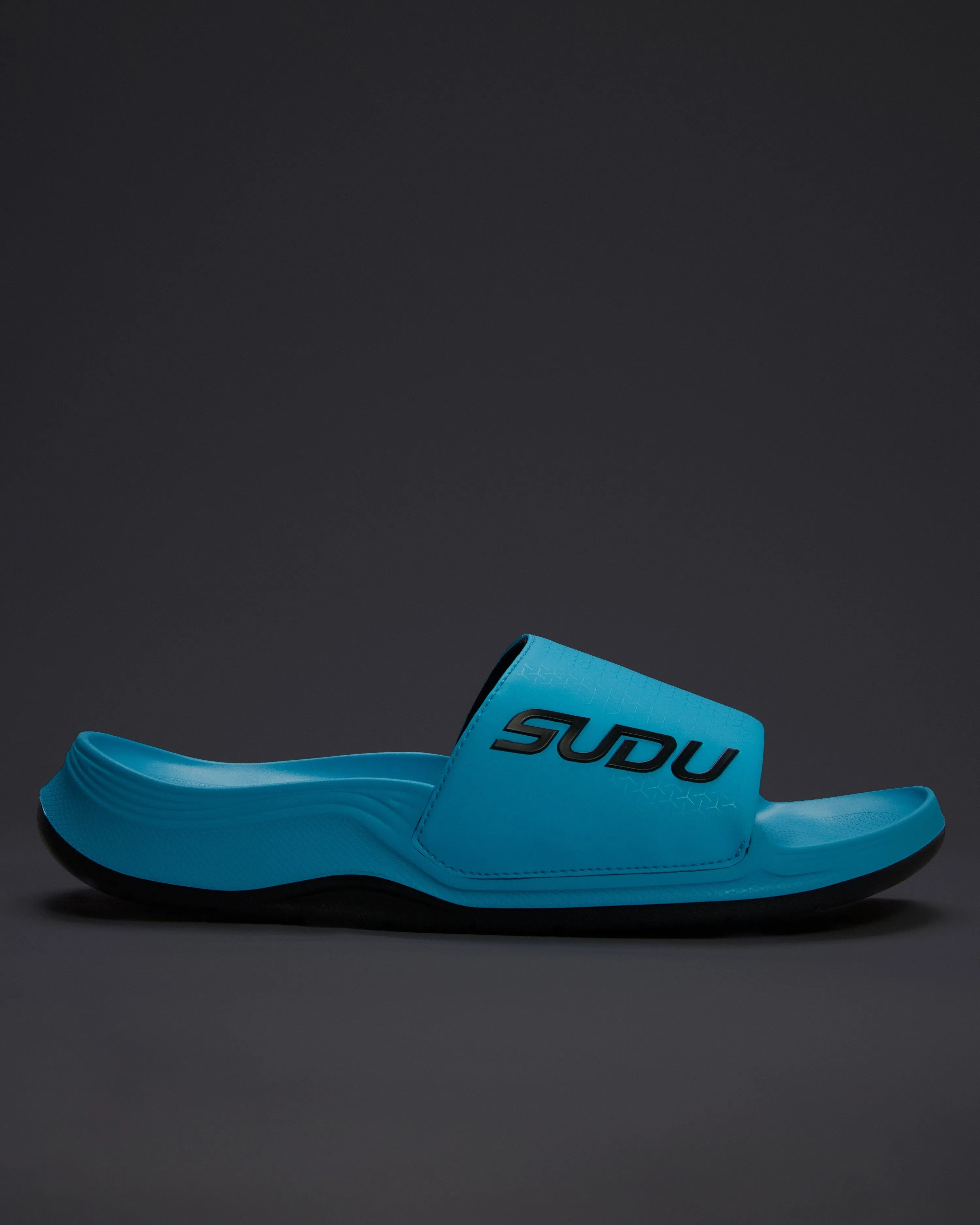 SVS 01 Recovery Slides - Blue