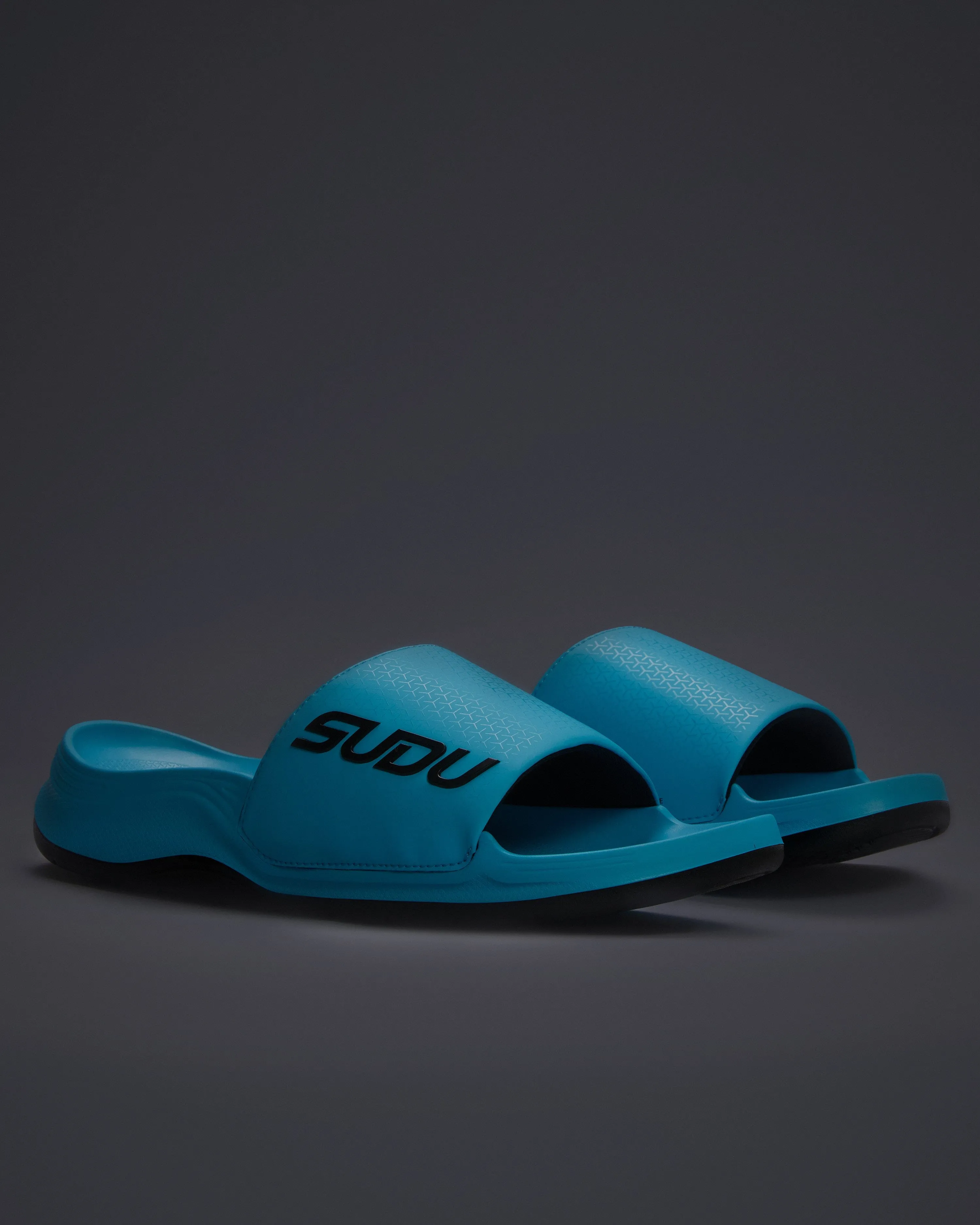 SVS 01 Recovery Slides - Blue